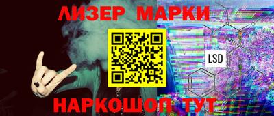 соль ск Бердск
