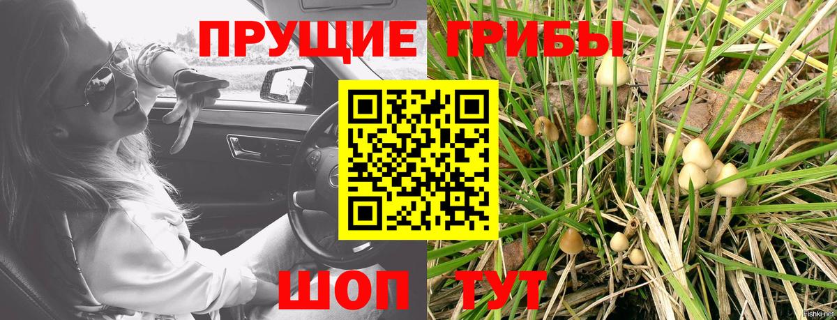 Добрянка  Галлюциногенные грибы Psilocybe  Вход с VPN 
